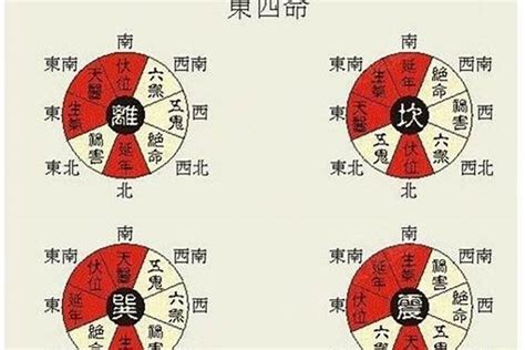 东西四命速查表|东四命卦和西四命卦的速查表